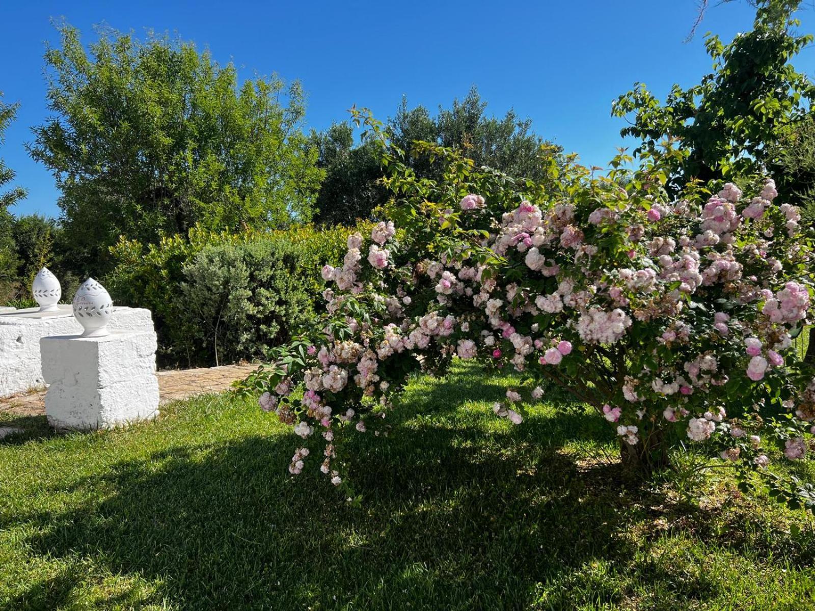 B&B Don Giovanni Monopoli Exterior photo