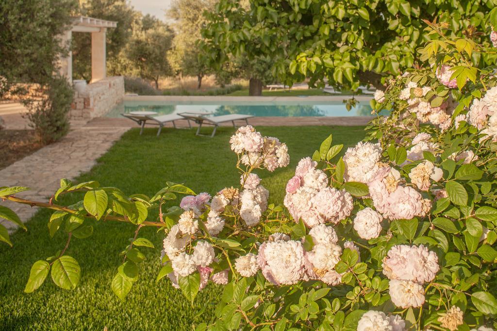 B&B Don Giovanni Monopoli Exterior photo